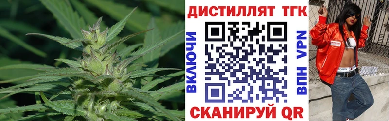 ТГК концентрат Нефтекумск