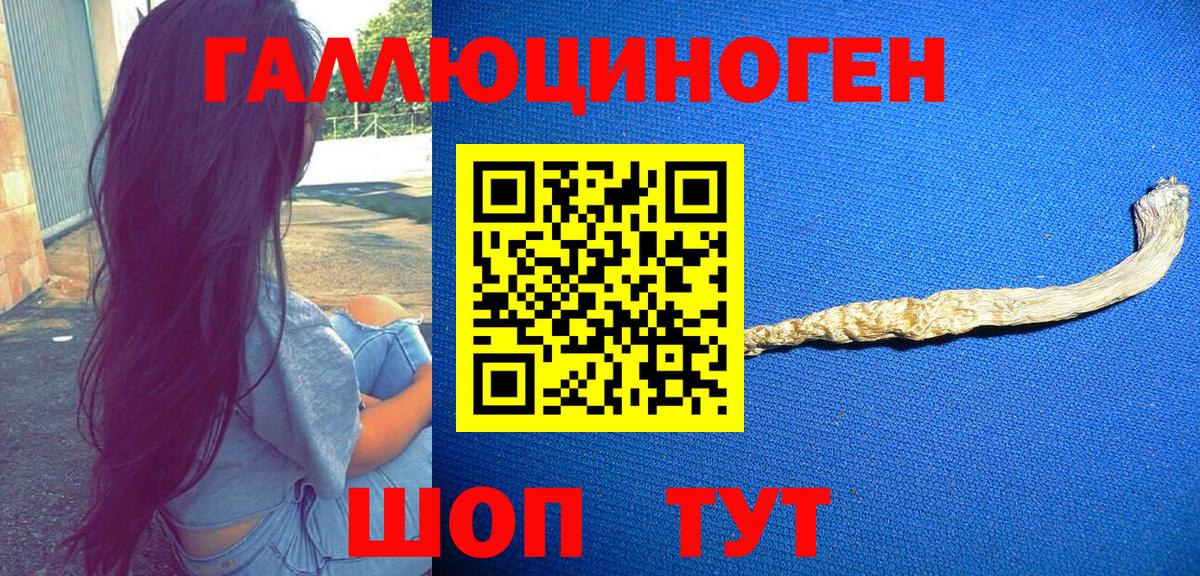 Псилоцибиновые грибы ЛСД  Вход с VPN  что такое   Нефтекумск 